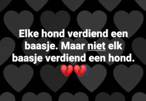 stanley-ter-haar-een-hond-heeft-een-ziel-gevoel-en-verstand-honden-adoptie