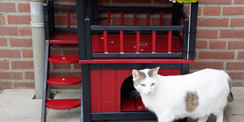 Heel veel voor weinig Desiree van Deurse Straatadvocaat Leeuwarden huisje Stanley ter Haar Blog