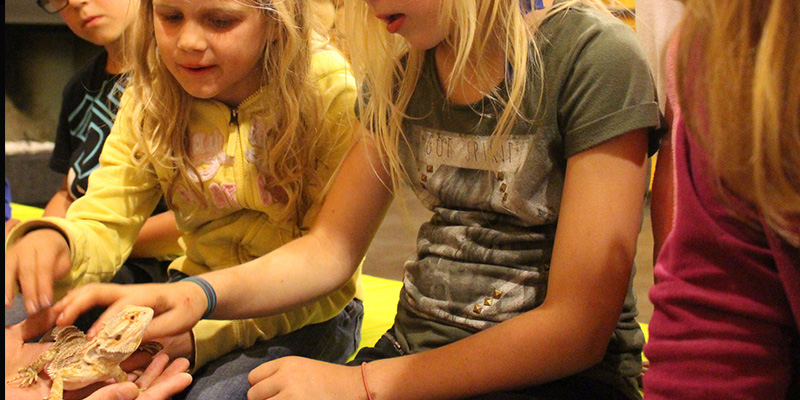 Repticura Leeuwardenkinderen Reverentie Stanley ter Haar Straatadvocaat Leeuwarden